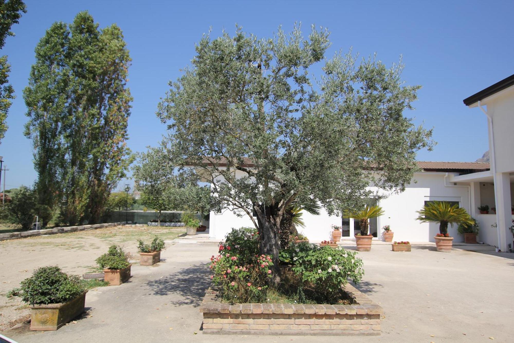 Villa Capodacqua Castrocielo Kültér fotó