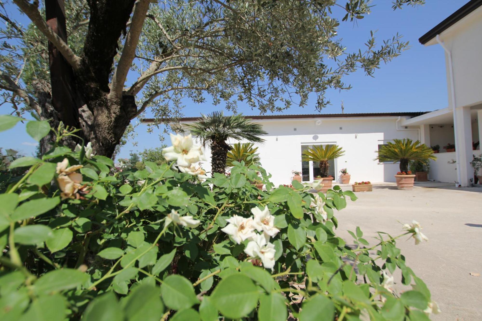 Villa Capodacqua Castrocielo Kültér fotó